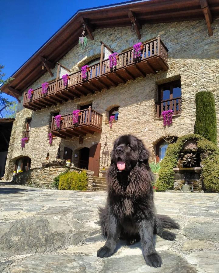 Hotel Mas D'En Roqueta Aravell Exterior foto